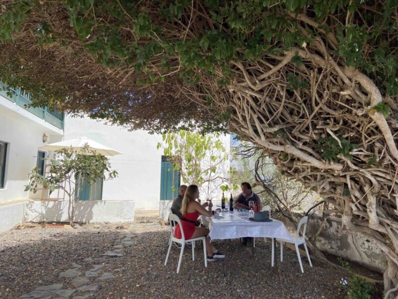 Las Palmas: Gran Canaria's Best Wineries and Views Tour - Customer Feedback
