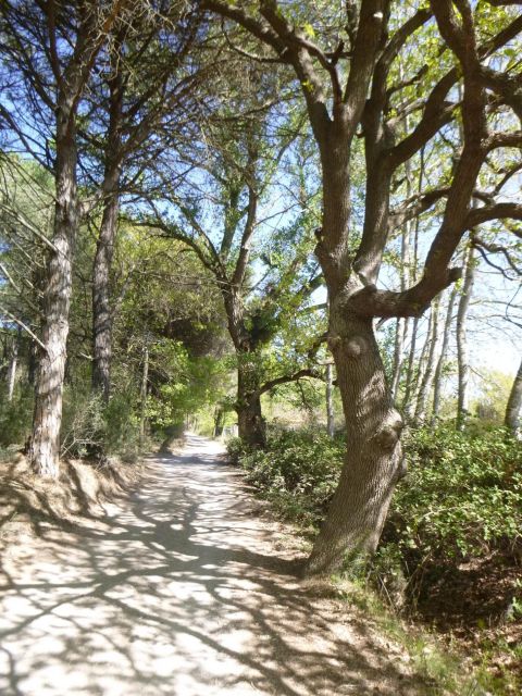 Le Grau Du Roi: Half-Day Tour of Camargue - Historical Sites Explored