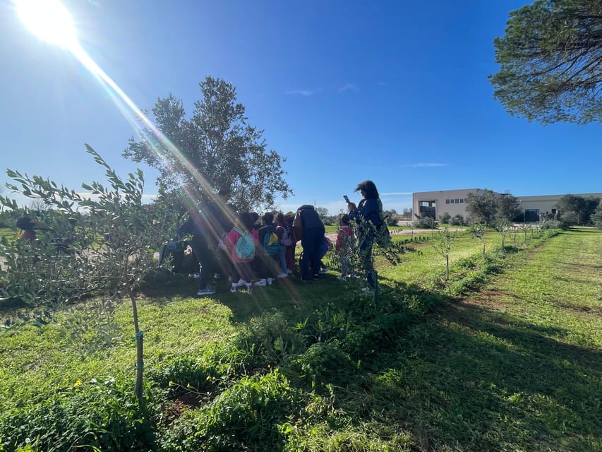 Lecce: Oil Mill Tour & Olive Oil Tasting - Meeting Point