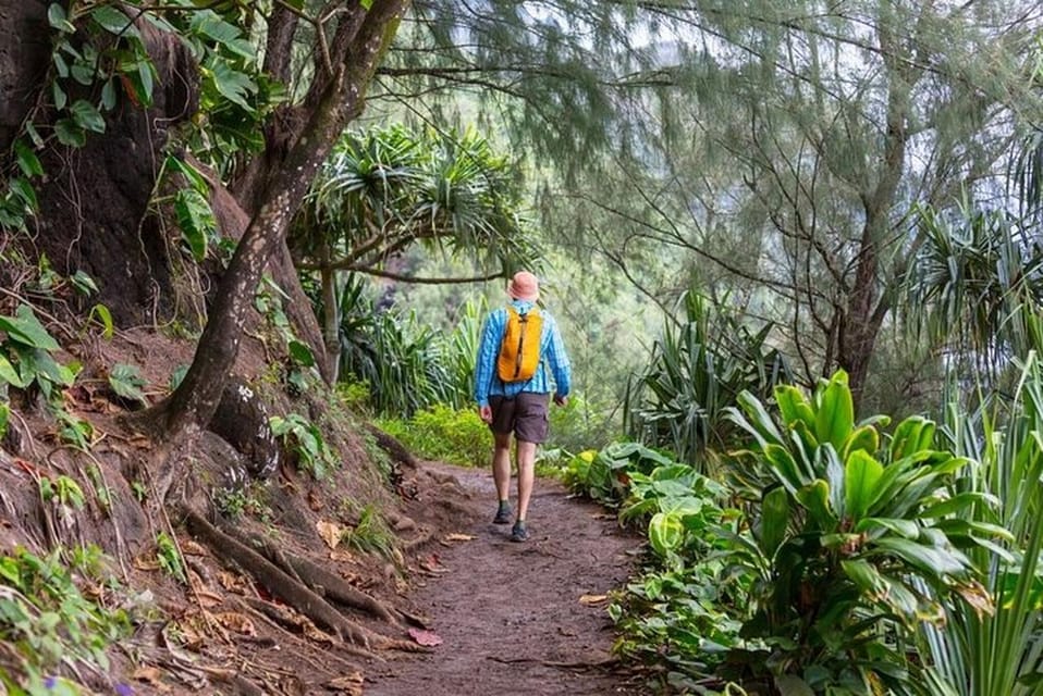 Legendary North Shore Loop in Oahu: Audio Tour Guide - What to Bring for Tour