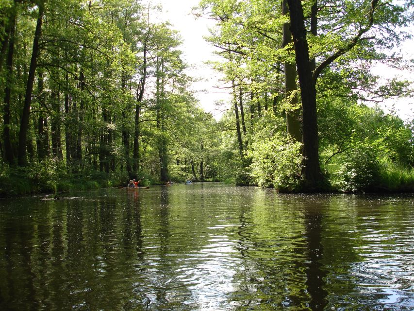 Leipzig: Riverside Forest Tour on the Pleisse - Additional Activities Post-Tour