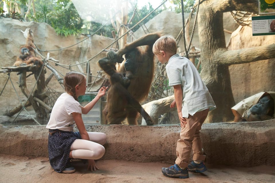 Leipzig: Zoo Admission Ticket - Animal Habitats