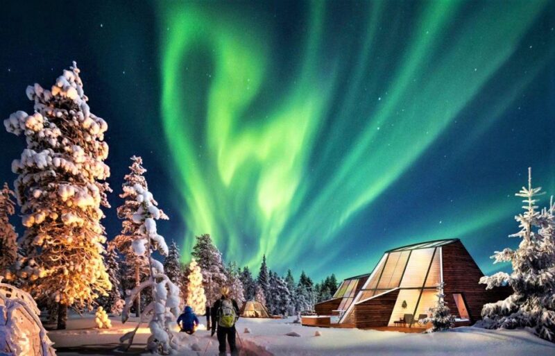 Levi: Aurora Borealis Bus & Snowshoe Tour With Hot Drink - Customer Reviews and Ratings