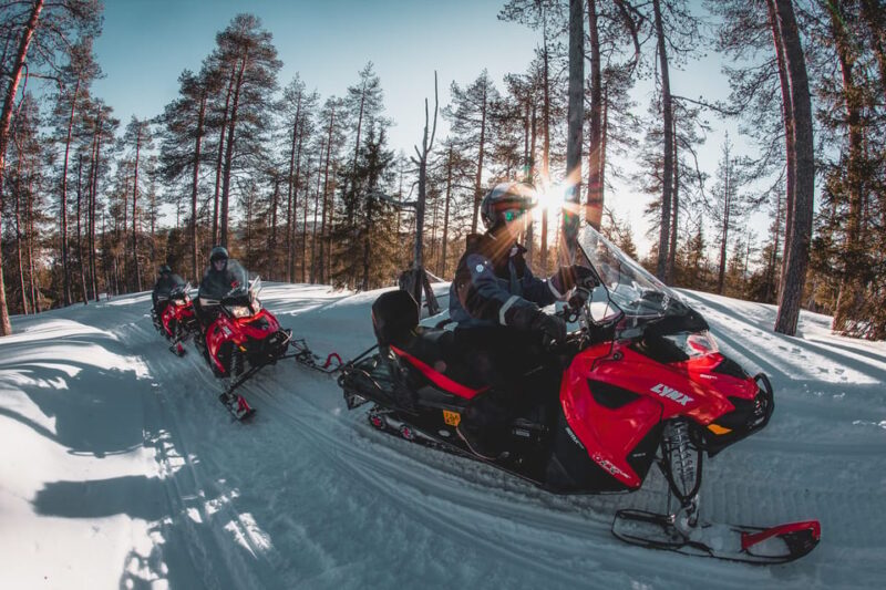 Levi: Easy Snowmobile Safari Into the Nature - Booking and Cancellation Policy