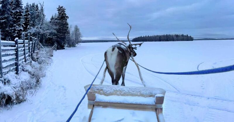 Levi: Lapland Reindeer Safari - Weather Considerations