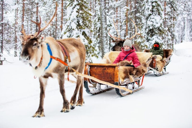 Levi: Reindeer Sleigh Ride Tour in Snowy Forest - Meeting Point