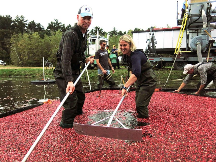 Limited Time: Cranberry Bogger for a Day Experience - Preparation and Guidelines