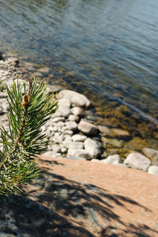 Linlo : Exclusive Day Tour on an Island - Preparation Tips