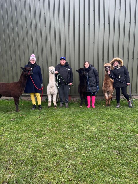 Loch Ness: Full Day Private Tour With Alpaca Adventure - Meeting Your Alpacas
