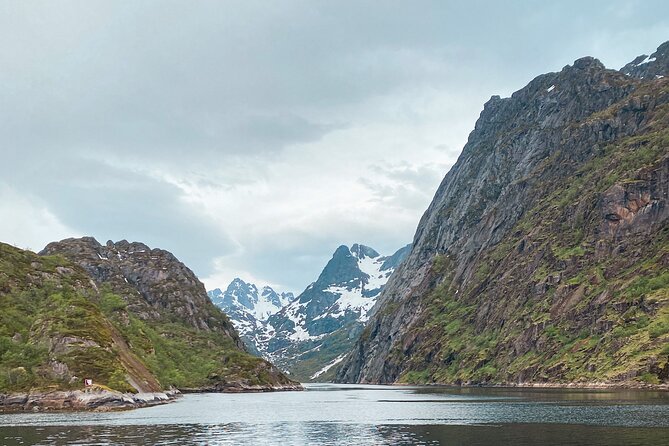 Lofoten Islands Luxury Trollfjord Cruise With Lunch From Svolvær - Customer Reviews