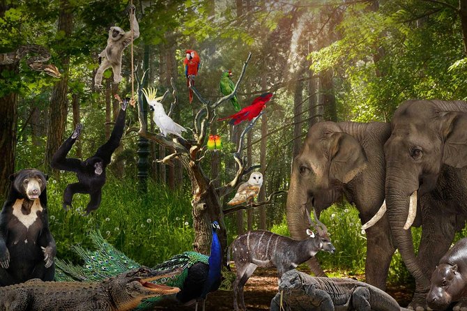 Lombok Wildlife Park Skip the Line Ticket - Guest Experiences and Reviews