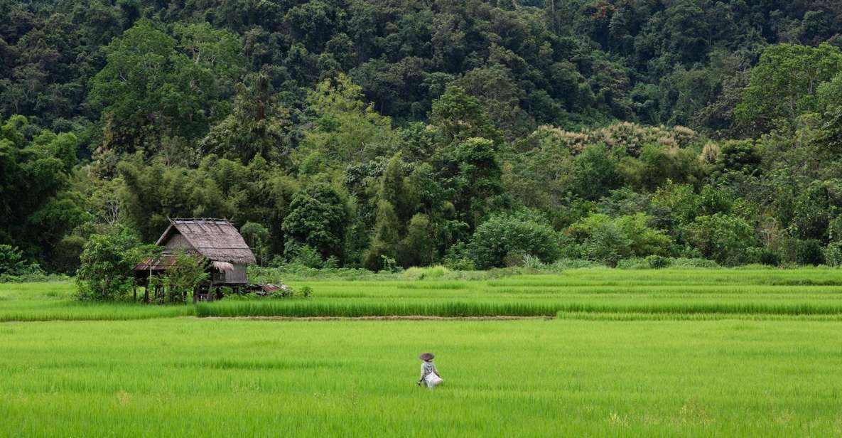 Luang Prabang: Countryside Mountain Bike Tour With Lunch - Booking Information