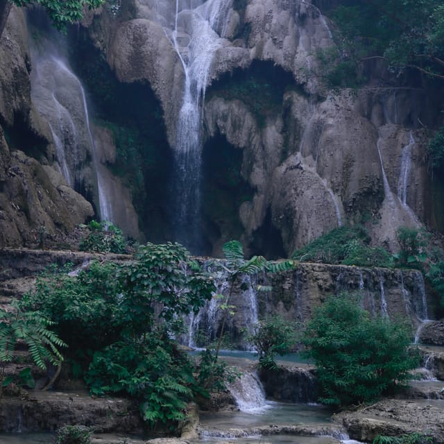 Luang Prabang Elepphant Keeper Bathe Option Kuangsi Tour - Customer Feedback