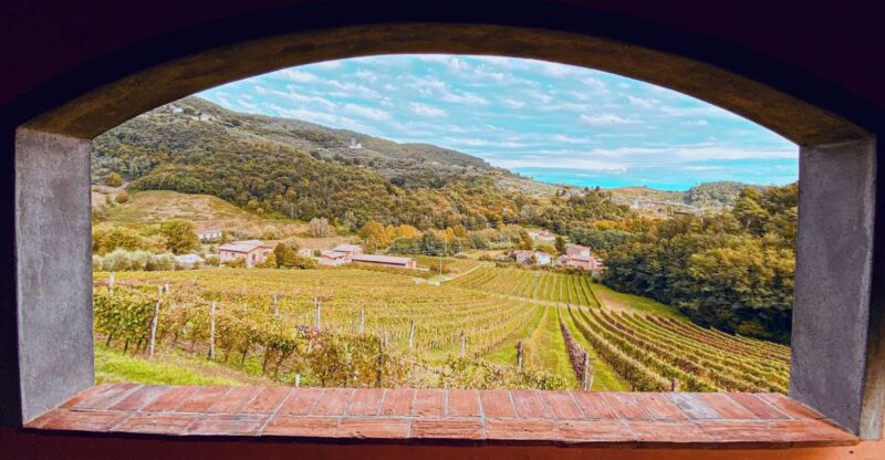 Lucca: Guided Winery Tour With Wine Tasting - Customer Ratings and Feedback