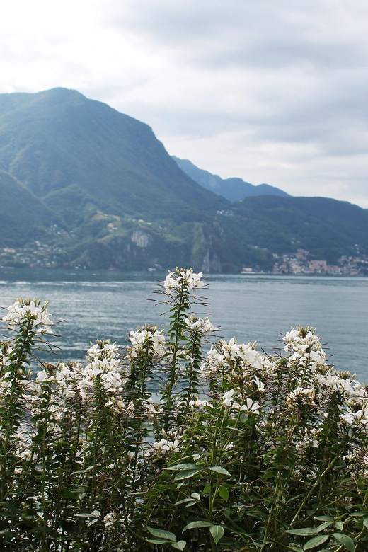Lugano - Private Walking Tour - Meeting Point Information
