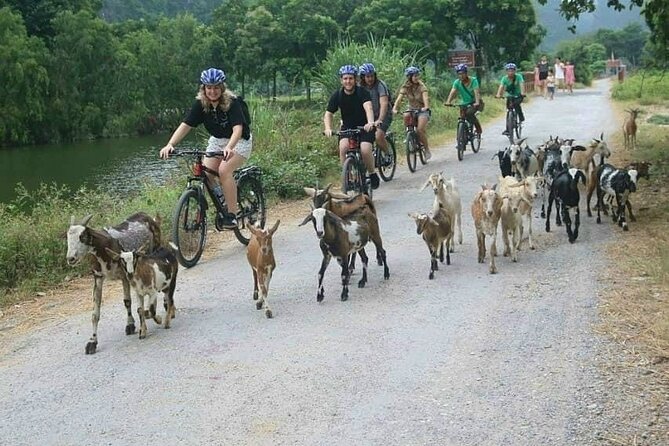 Luxury Small Group Tour in Tam Coc, Mua Cave, Bich Dong Pagoda - Accessibility Features