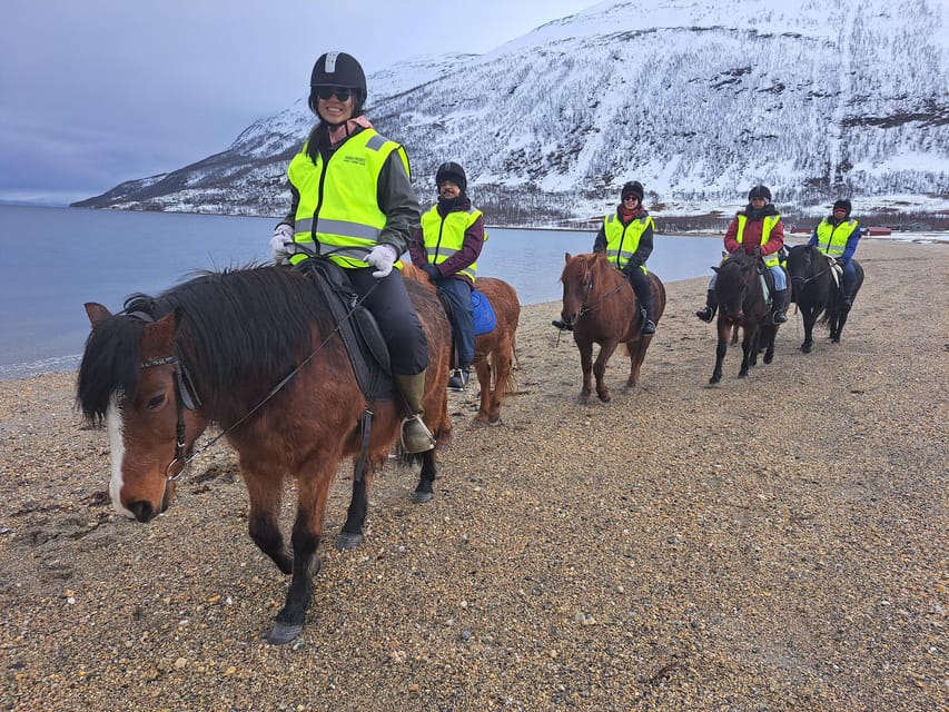 Lyngen Horseback Winter Riding Experience - Stunning Arctic Landscapes