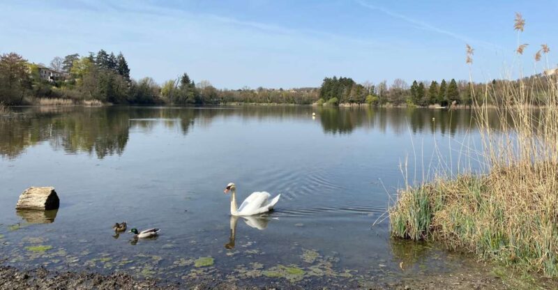 Lyon: Self-Guided Hike off the Beaten Track (Train & Picnic) - Exclusions