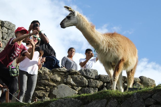 Machu Picchu Tour From Cusco Full Day - Tour Booking and Policies