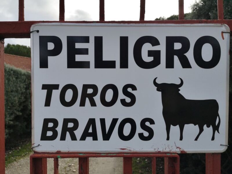 Madrid: Half-Day Bull Breeding Farm Tour - Transportation and Guide