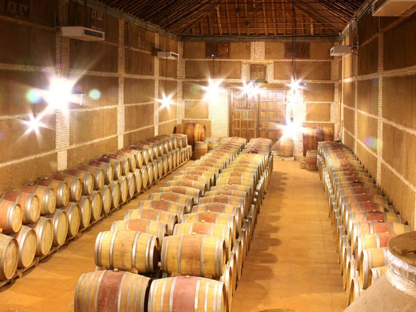 Madrid: Toledo Day Trip With Winery Visit and Wine Tasting - Transportation Details