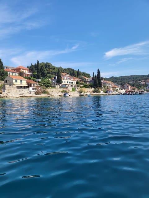 Magnific Tour: Blue Lagoon With a Speed Boat , Water, Wine - Customer Feedback