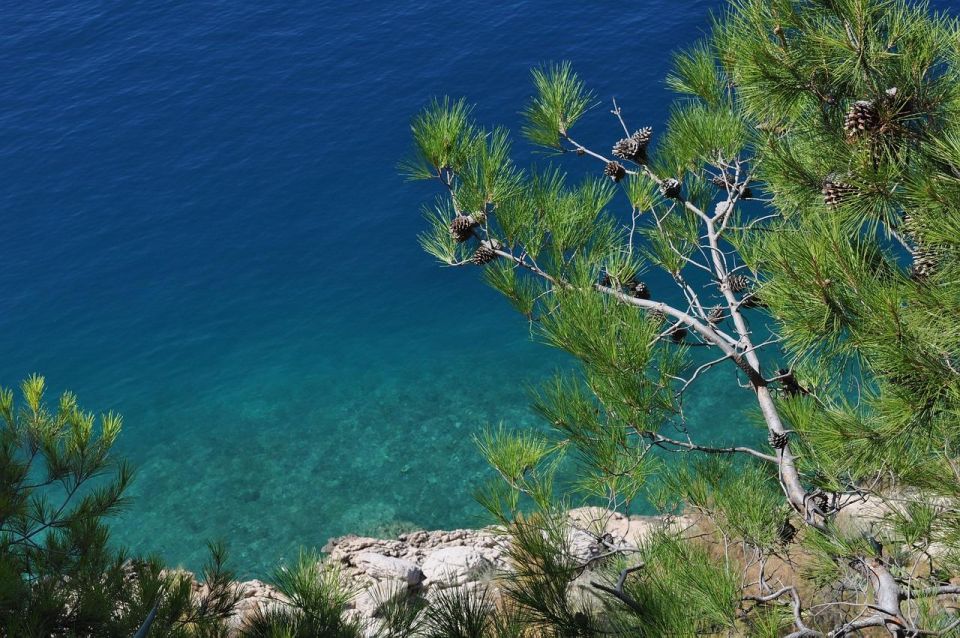 Makarska: Private Riviera Walking Tour - Starting Location