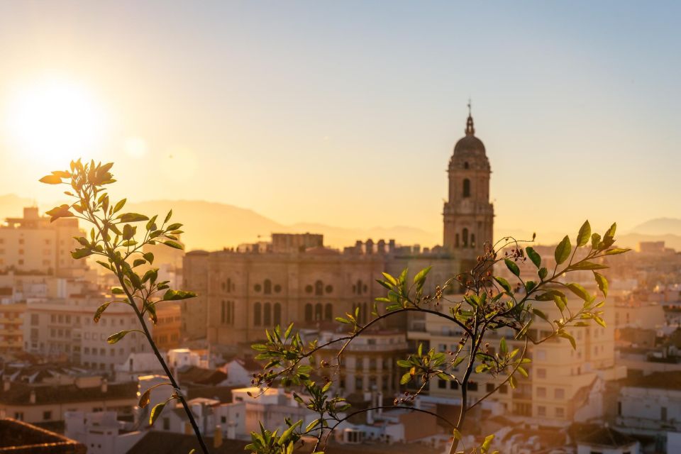 Malaga: Express Walk With a Local in 60 Minutes - Frequently Asked Questions