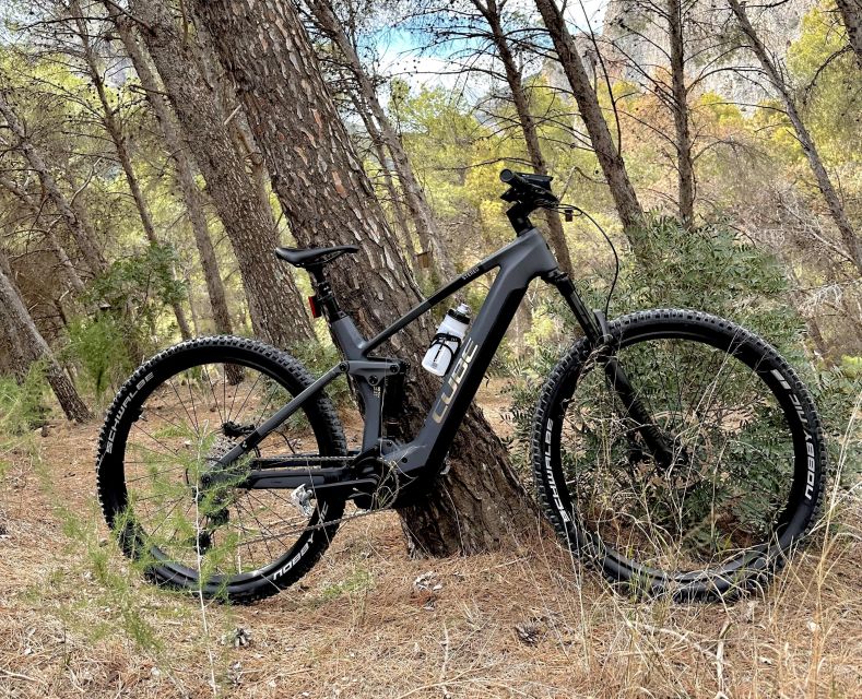 Málaga: Guided Tour With Electric Bike El Chorro - Customer Feedback