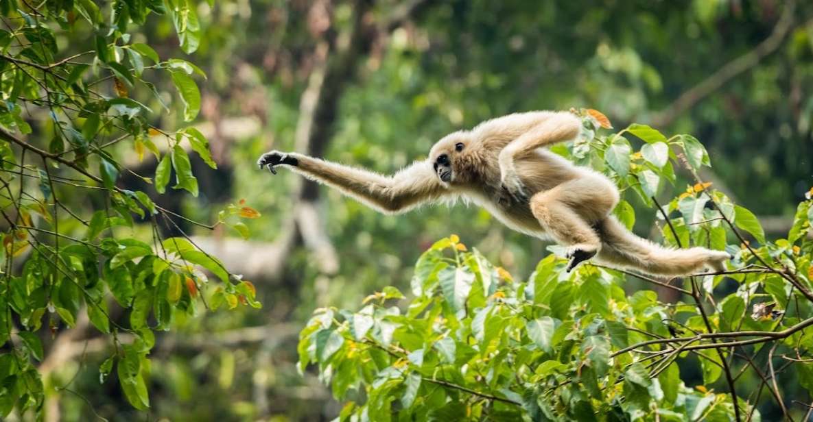 Malaysia: Gunung Panti Forest Reserve Guided Nature Tour - Customer Feedback and Ratings