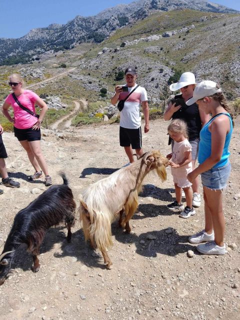 Malia: Land Rover Safari Lasithi Plateau and Zeus Cave - Participant Information and Restrictions