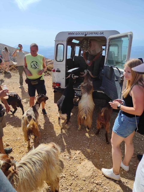 Malia: The Roads Of Wine Olive Oil And Cretan Tradition - Captivating Scenic Views at Aposelemis Dam