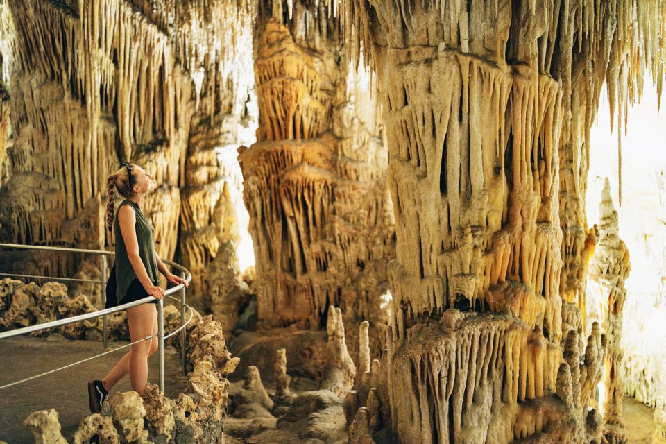 Mallorca: Caves of Drach Day Trip & Optional Caves of Hams - Customer Reviews and Ratings