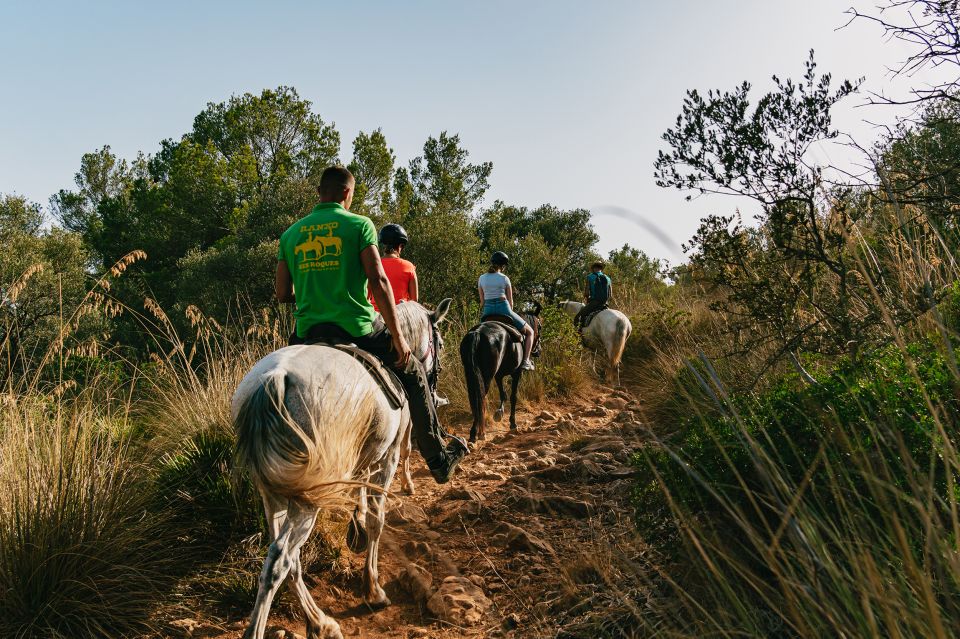 Mallorca: Horseback Riding Experience With Food Options - Important Details