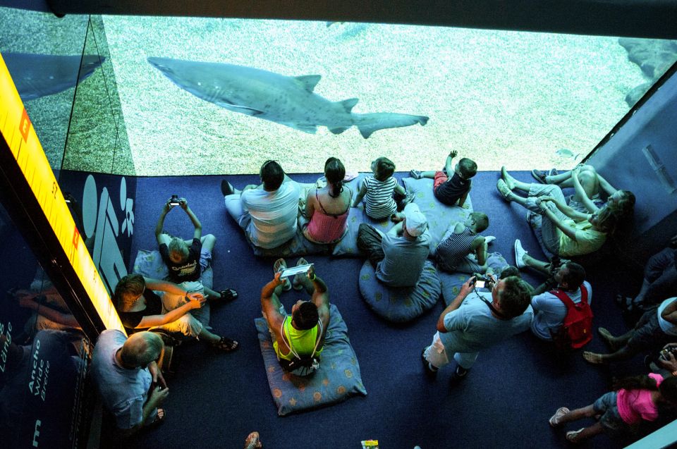 Mallorca: Palma Aquarium Entry Ticket W/ Optional 3D Cinema - Customer Reviews