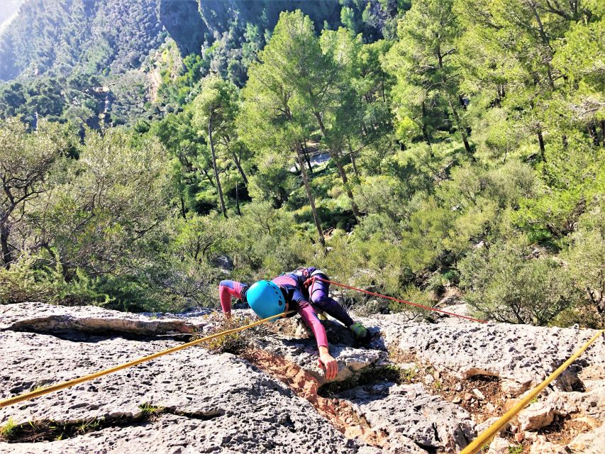 Mallorca: Sport Climbing Day or Course - Equipment and Safety Measures