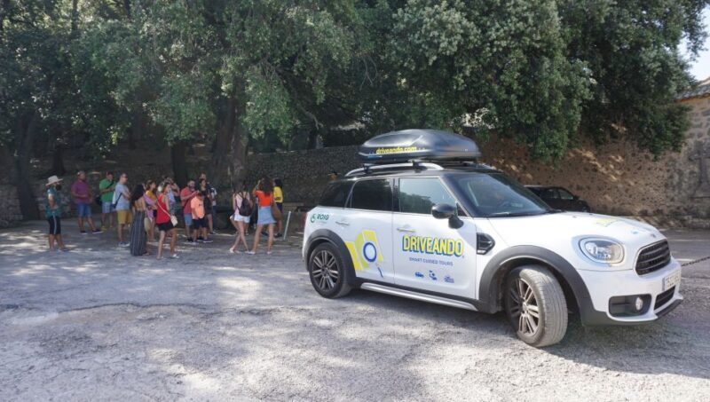 Mallorca: Tramuntana Mountains Tour With Local Guide & Lunch - Important Information