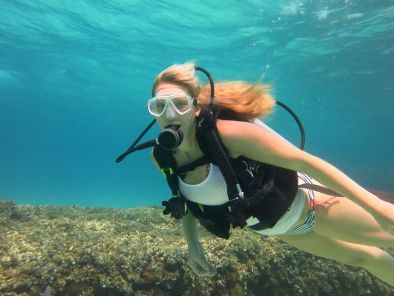 Mallorca: Try Out Scuba Diving in a Marine Nature Reserve - Customer Ratings
