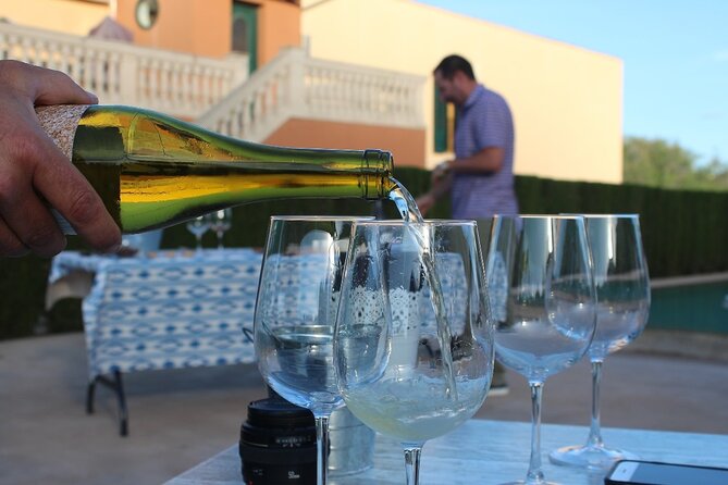 Mallorca Wine and Cheese Tasting - Meeting Details