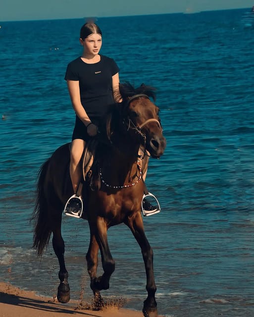 Manavgat Side: Horse Riding on the Beach and in the Forest - Safety Guidelines