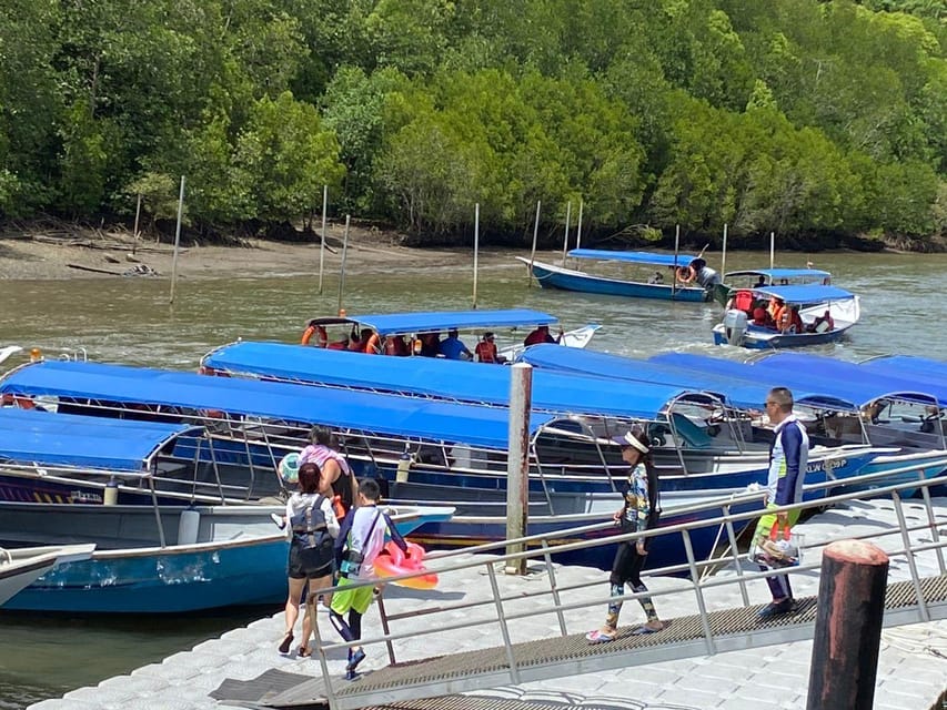 Mangrovetour 888 in Langkawi: Estimated 1 Hour (Private) - Eagle Feeding Experience