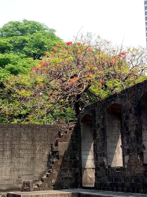 Manila: Intramuros Rev Walk - Manila Cathedral