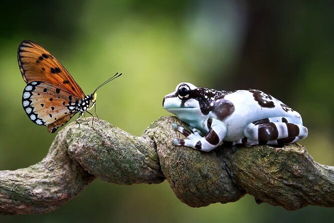 Manu Jungle Tour From Cusco (4 Days) - Accommodations and Amenities