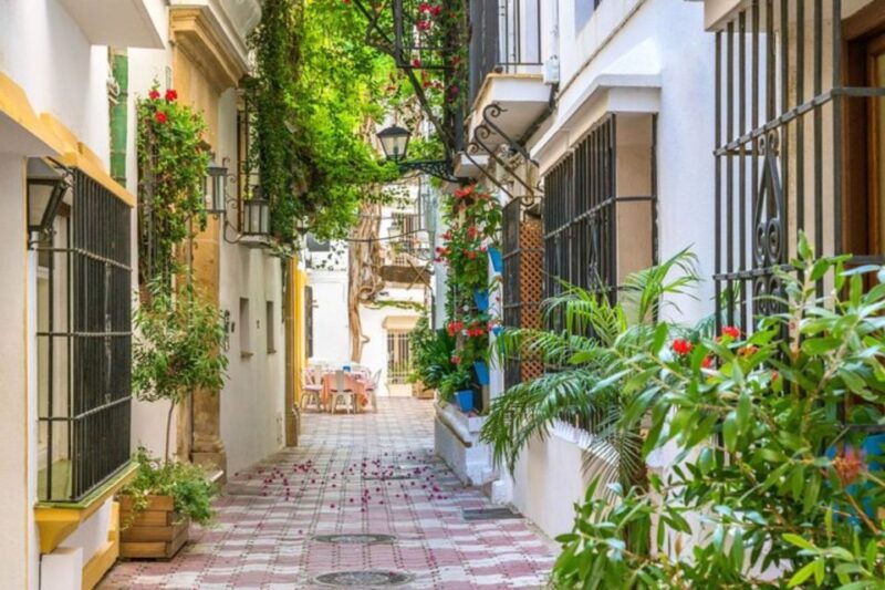 Marbella: Private Customizable Walking Tour With Guide - Accessibility Considerations