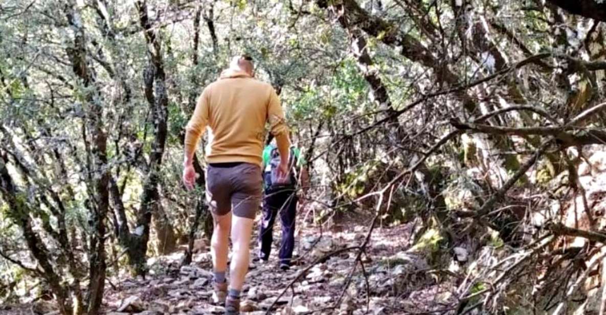 Marbella: Sierra De Las Nieves National Park Hiking Day Trip - Included Amenities