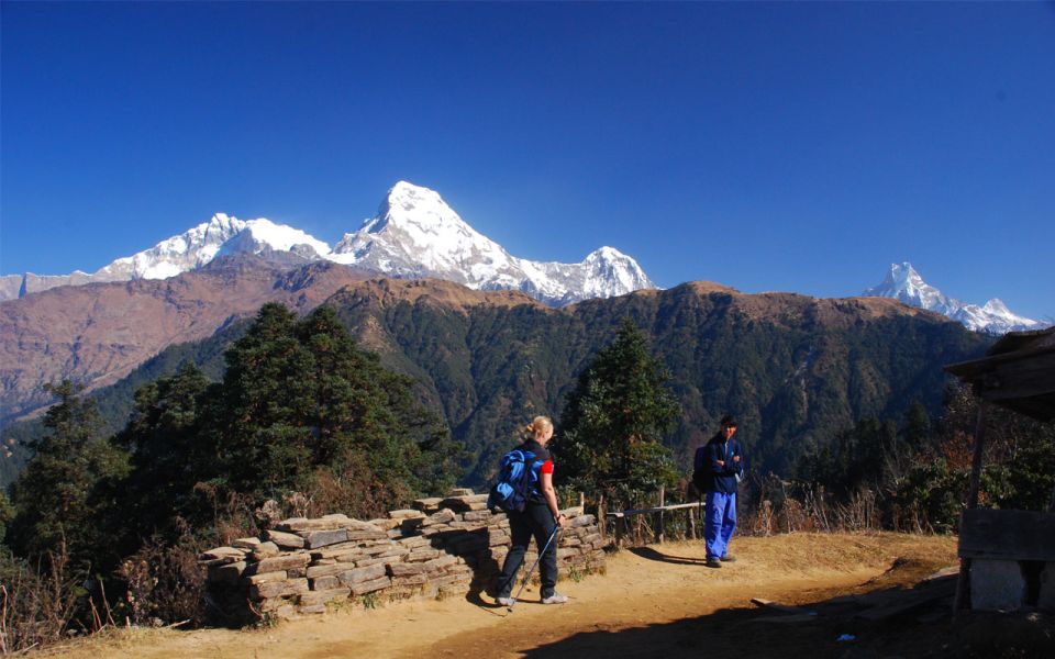 Mardi Himal Base Camp Yoga Trek 7-Day - Frequently Asked Questions