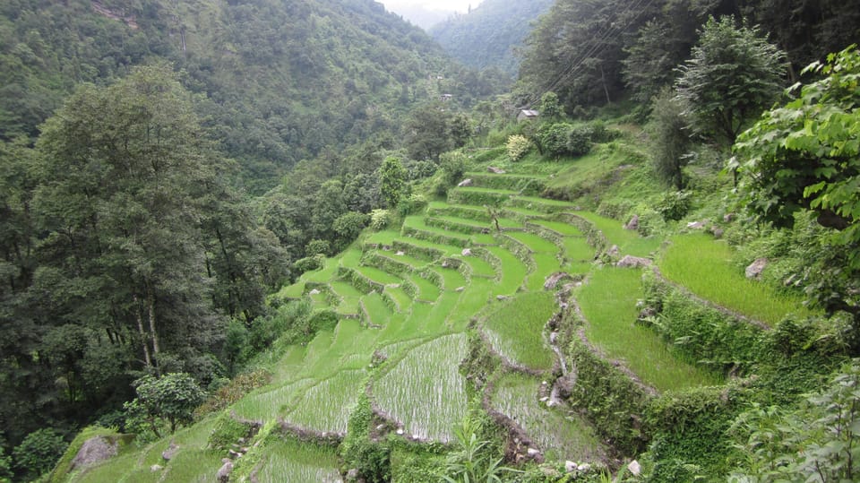 Mardi Himal Trek - 7 Days - Cultural Immersion and Villages