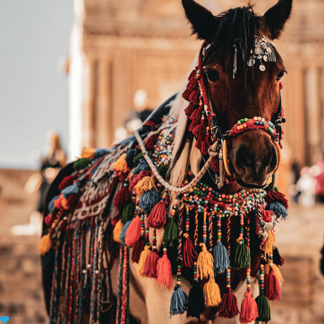 Mardin Private Old Town City Tour - Inclusions and Amenities