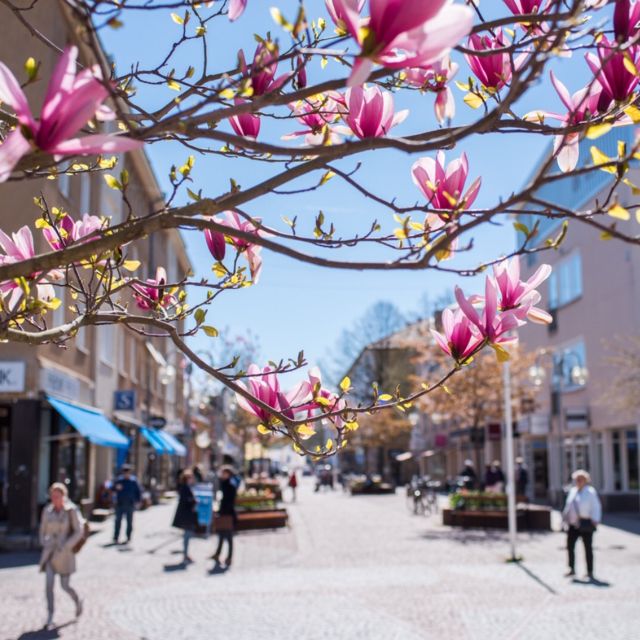 Mariehamn Private Guided Walking Tour - Frequently Asked Questions