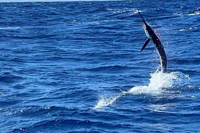 Marlin Fever at Marina Cap Cana -Private Sportfishing Charter - Pricing and Booking Process